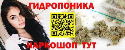 a pvp Абинск