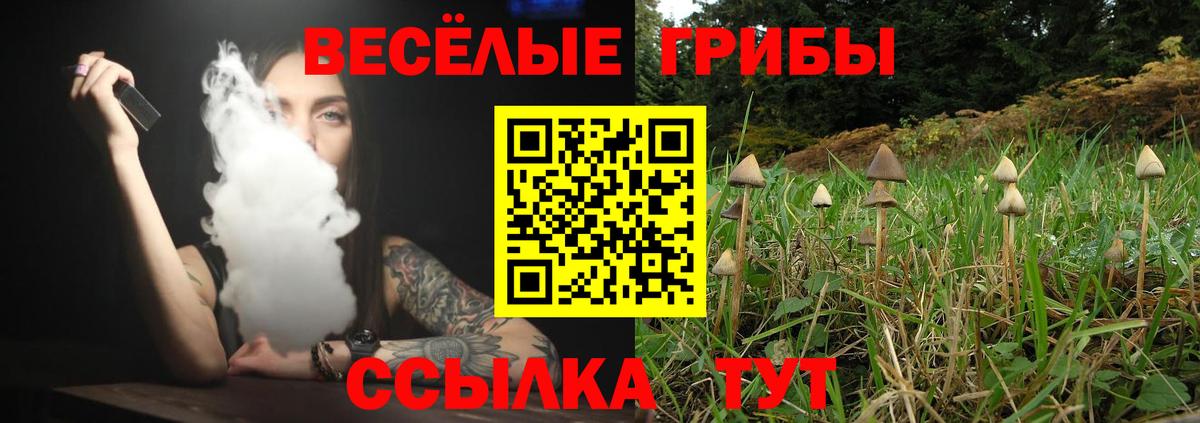 Псилоцибиновые грибы мицелий Богородицк