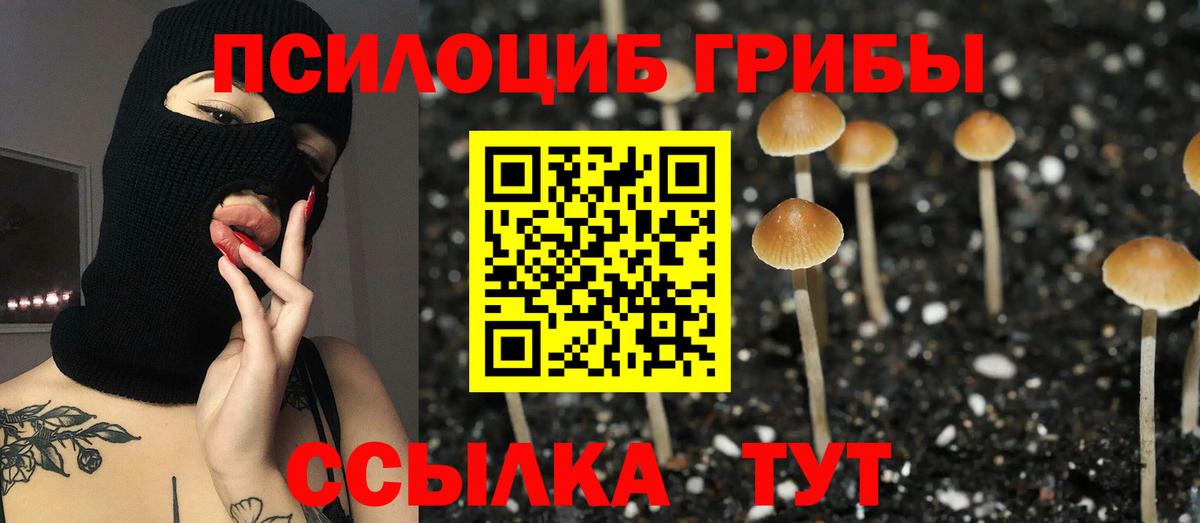 Галлюциногенные грибы MAGIC MUSHROOMS Богородицк
