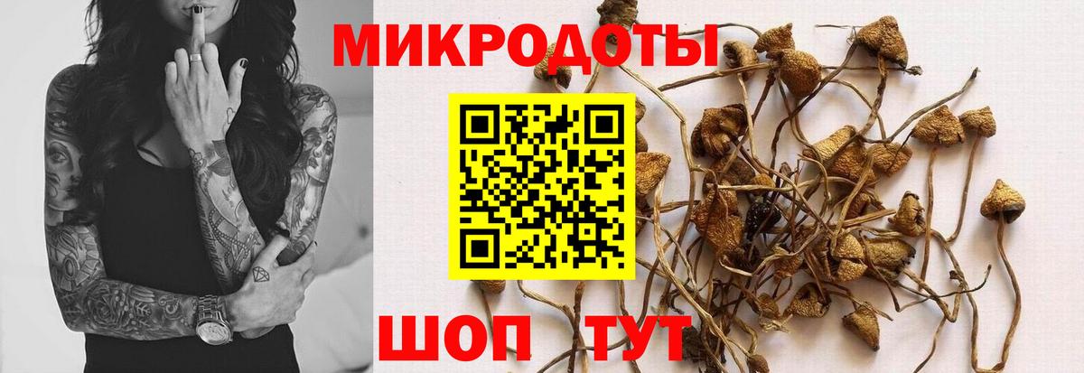 Богородицк  Галлюциногенные грибы GOLDEN TEACHER  Вход с VPN 