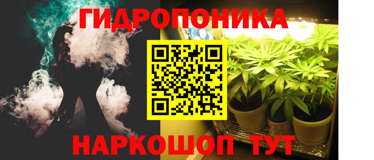 Шишки марихуана индика  Вход с VPN  Конопля Bruce Banner  МАРИХУАНА планчик  Богородицк 